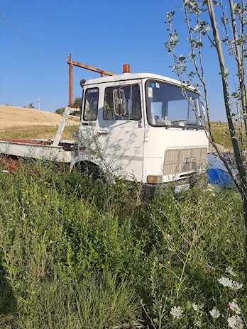 Carro atrezzi Marca Fiat Km 0 - Anteprima 3