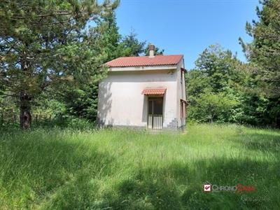 Gambarie d'Aspromonte Villetta con terreno rif