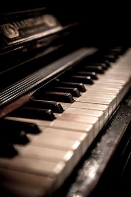Lezioni e ripetizioni di solfeggio e pianoforte