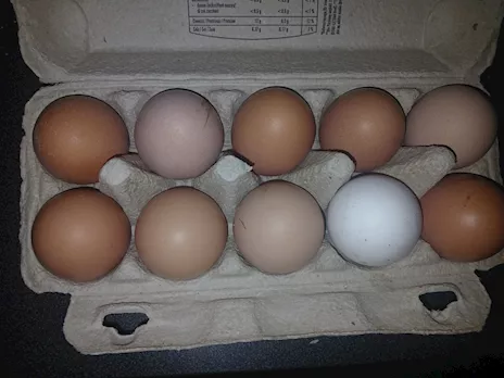 Uova di gallina RISERVATE