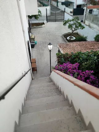 Foto - 7