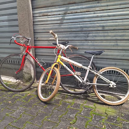 Bici ragazzo usate