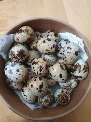 Uova di quaglia Jumbo
