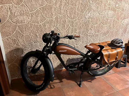 Bici elettrica