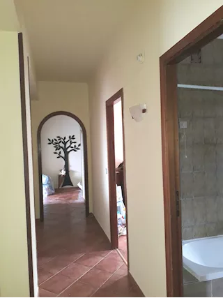 Muratore e indoratore