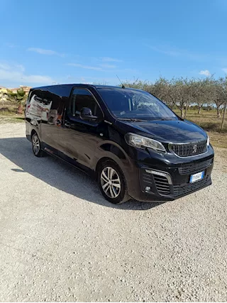 Peugeot Traveller