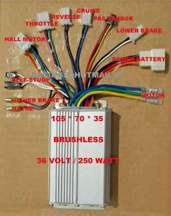 Bicicletta Elettrica Centralina 36v 250W Brushless Nuova