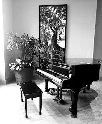 Lezioni pianoforte a Cologno Monzese