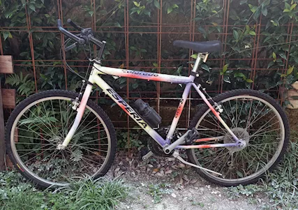 Bicicletta Esperia gomme da 26
