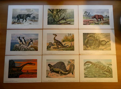 Serie di 8 litografie Harder-Bölsche: Tiere der Urwelt