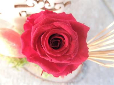 Regala una composizione di rose stabilizzate