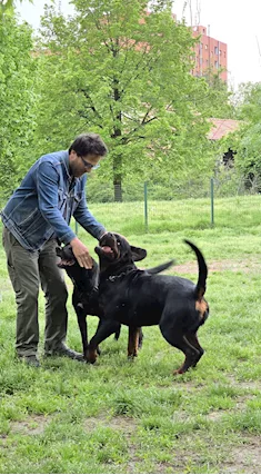 Dog Sitter Certificato ed Esperto Conduttore