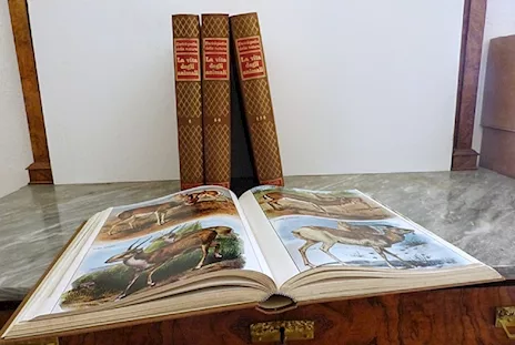 Enciclopedia La vita degli animali - 1962/63