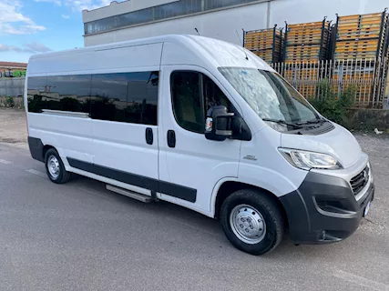 Minibus/ Ducato 5 posti carrozzelle