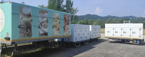 CELLE FRIGO SURGELATI