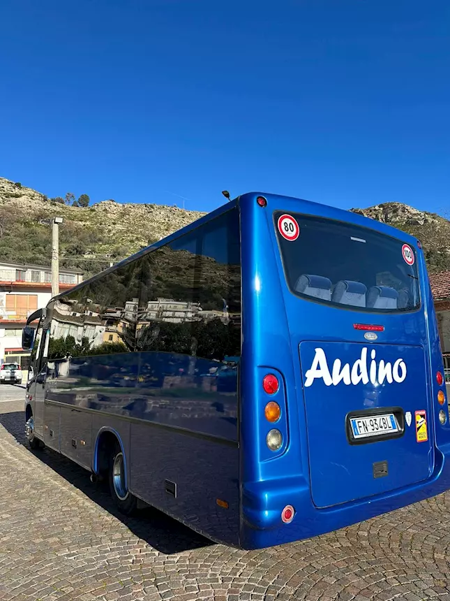 Foto 4Mercedes 818 Sitcar Euro 4