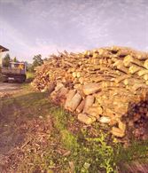 Legna da ardere