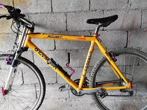 MTB OLYMPIA Ritchey camoscio alluminio