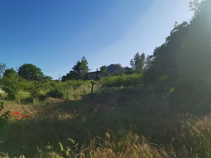 Pozzuoli adiac. via Campana Terreno di 38.000mq - Foto 5