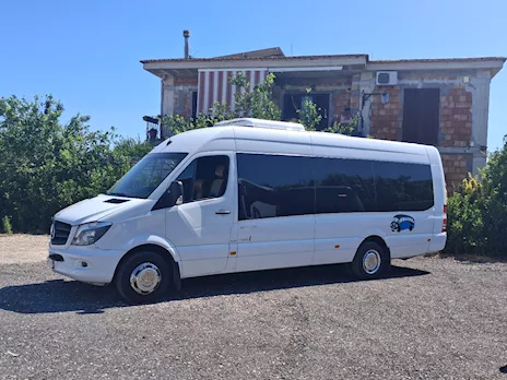 Mercedes 519.Sitcar