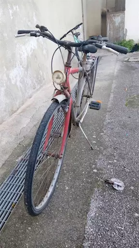 Bici da uomo