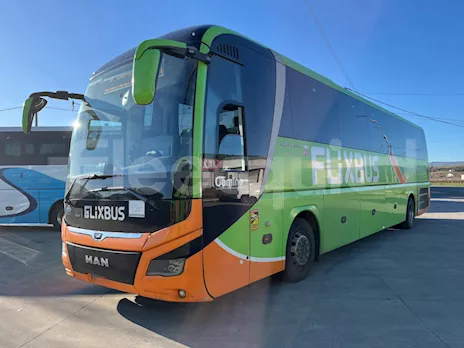 Lion's Coach