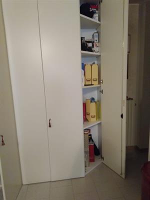 Amadio moderno