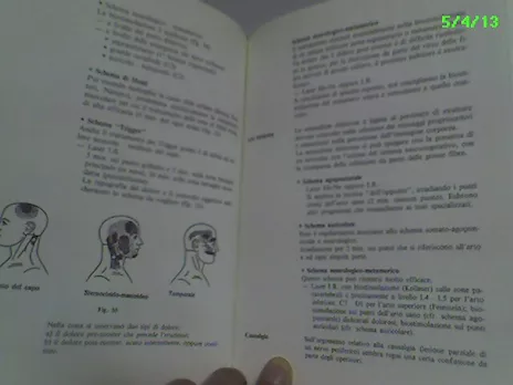 U. Lanza. Laser-agopuntura e metodi complementari