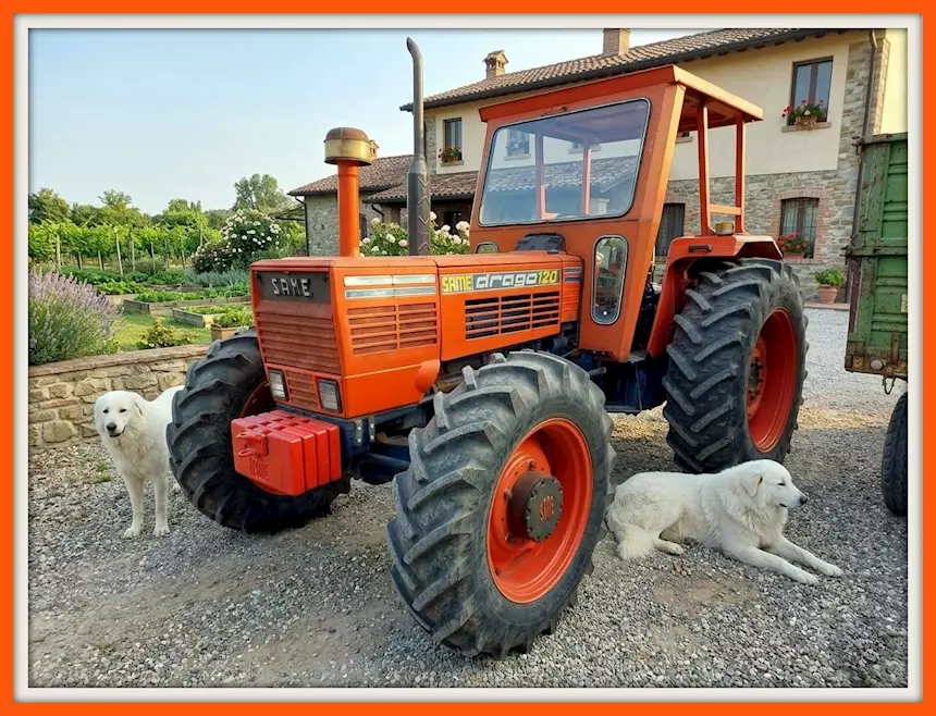 Trattore agricolo Marca Same Drago 120 DT Anno 1980