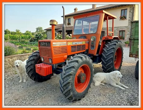 Trattore Agricolo Same Drago 120 DT