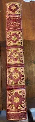 Antico Libro di Modena, in buone condizioni - Foto 2