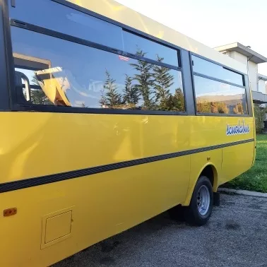 Ricambi Iveco 65C17 Cacciamali Thesi - SCUOLABUS
