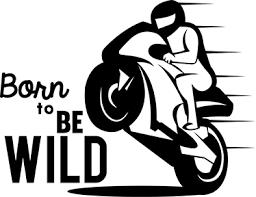 Adesivo per Auto / Moto - Foto 5