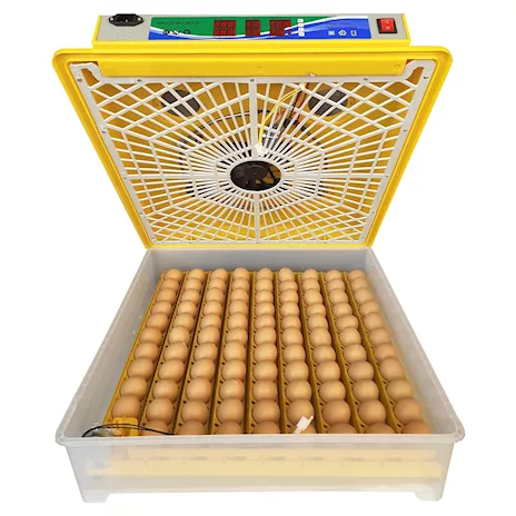 Incubatrice Automatica Professionale EM100 per uova gallina