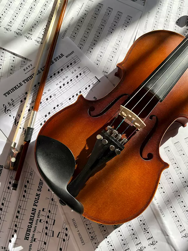 Musica matrimonio Novi Ligure