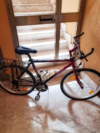 Mountain bike Giant Terrago e Mountain bike Frejus FM 626