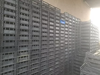 Cassette per ortofrutta