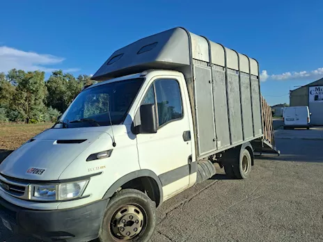 Iveco Furgone Attrezzato per Trasporto Animali Vivi