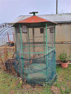 Gabbia per uccelli - Foto 2