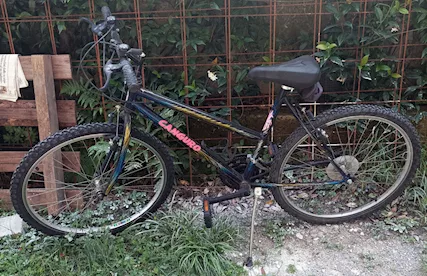 Bici Rampichino Canguro gomme da 26