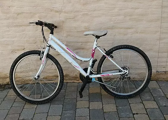 Bicicletta Tipologia Mountain Bike/MTB, colore bianco