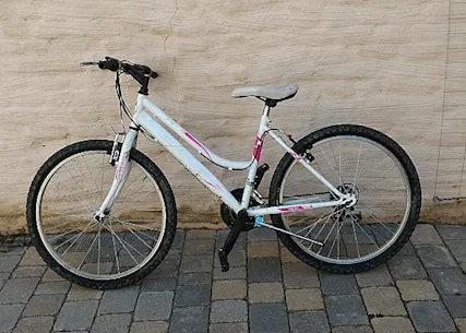Bicicletta