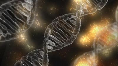Laureato impartisce ripetizioni di biologia