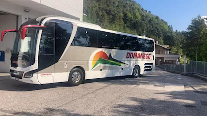 Lion's Coach