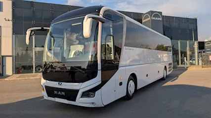 Man Lion Coach