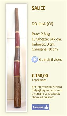 Didgeridoo - Foto 3