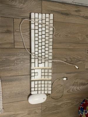 Apple Mechanical Keyboard - Anteprima 1