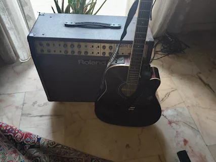 Splendido Amplificatore Vintage