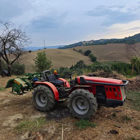 Antonio Carraro modello 50 CV