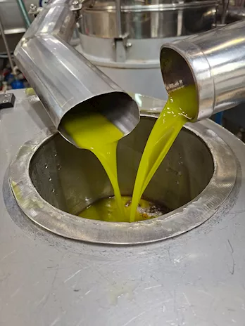 Olio Extravergine d'oliva